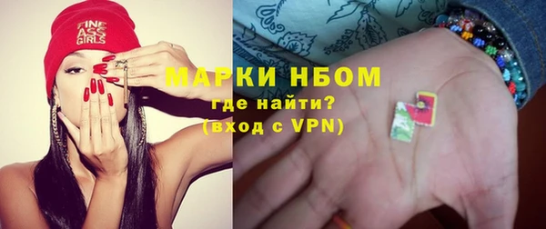 гашик Козельск
