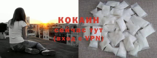 соль ск Кодинск