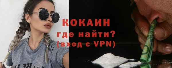 гидра Козловка