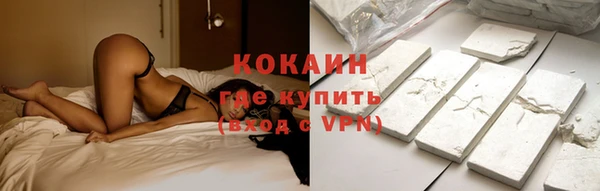 гашик Козельск