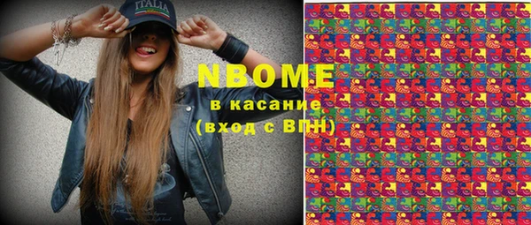 гашик Козельск