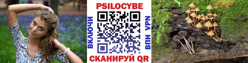 Галлюциногенные грибы мухоморы  Купить  Питкяранта 